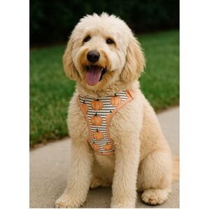Dog London Harness and Leash Set‎ with Pumpkins Fall Harvest Sydney & Co. Sz L